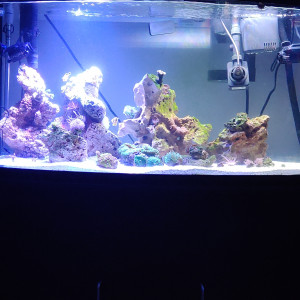 Aqua 2