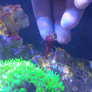 Publication de Lionel.jo