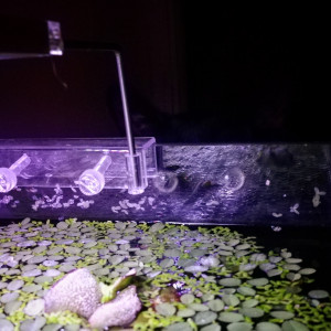 Publication de ArtemusKlegg