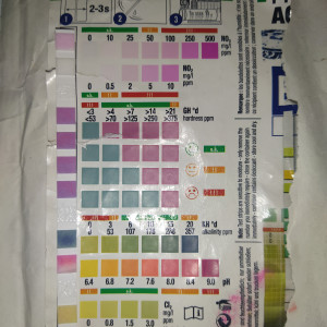 Publication de Leviking80