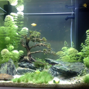 Publication de SONNY