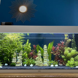 Aquarium