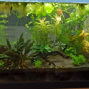 Publication de Maylis