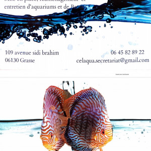 Celaqua