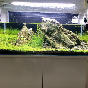 Publication de Lottomans