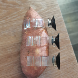 Publication de Kaeris