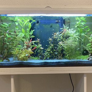 Publication de chloeJ