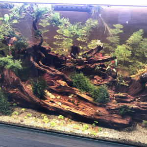 60L