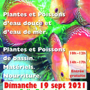 bourse aux poissons de club AACC