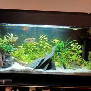 100L