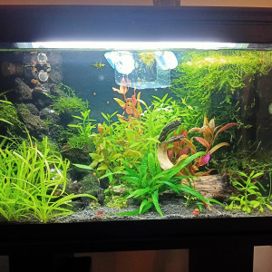60L