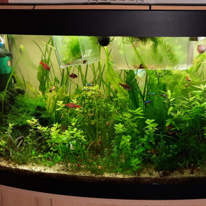 Fluval Vicenza 180