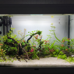 120L Net