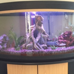 auarium de lou
