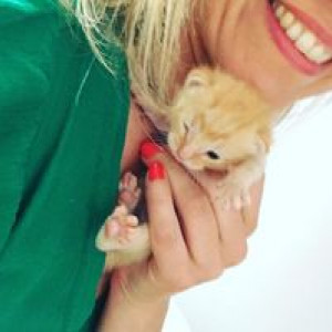penny