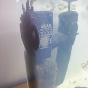 Publication de Gwilome