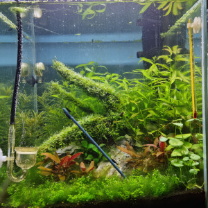 30l