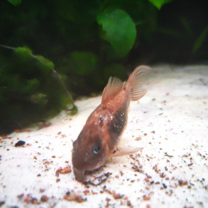 Publication de MarleneMLX