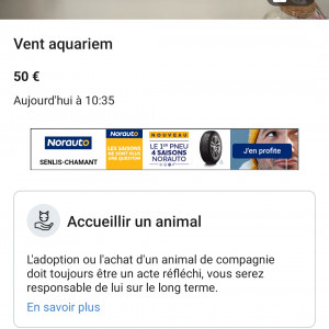 Publication de killerflo2020