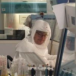 matmeus