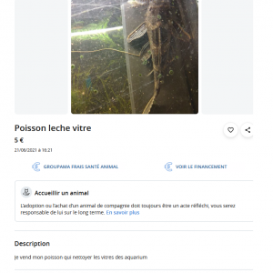 Publication de Czhug