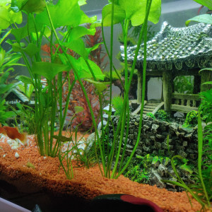 60 litres blanc