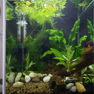 2.6 gallons