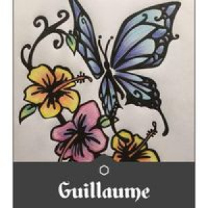 guillaume-goncalves