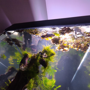 Publication de Letty11590