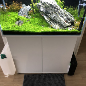 Publication de Lottomans