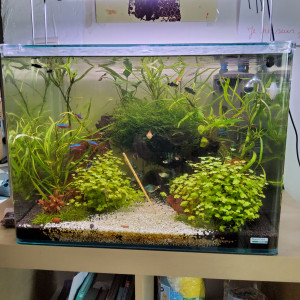 70l