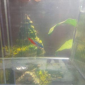 Publication de james-zaug