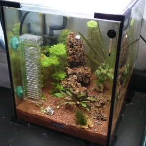 cube 30L
