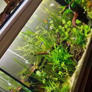 300L