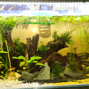 120L