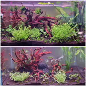 Publication de Dolby60200