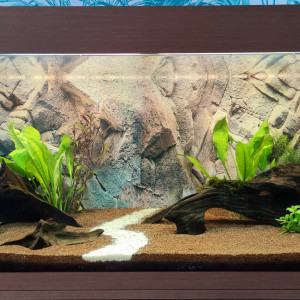 Biotope Amazonien Lowtech