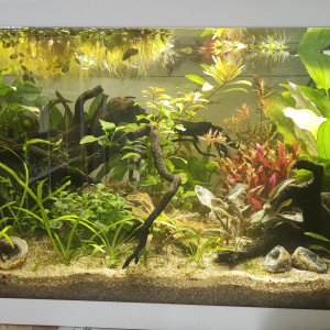 60Litres