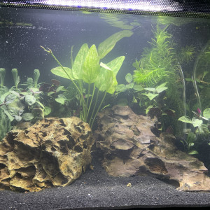 Nano aquarium