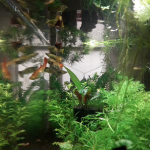 Publication de lucie-nol