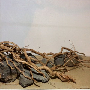 Publication de Refugees63