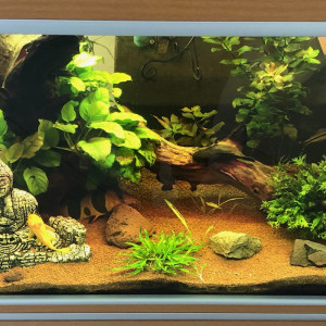Aquarium JUWEL RIO 180