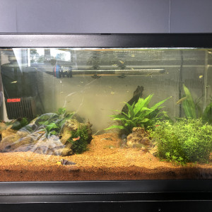 60L