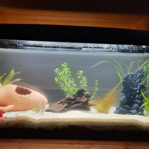 Aquarium 80L
