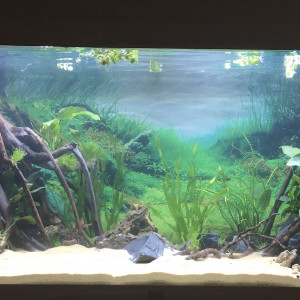 Rio 180