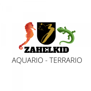 Zahelkid