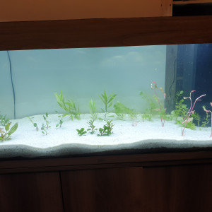 Juwel 180