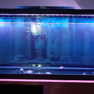 Publication de van-720HD