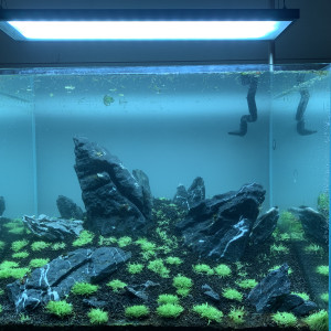 Ada 60-H 45