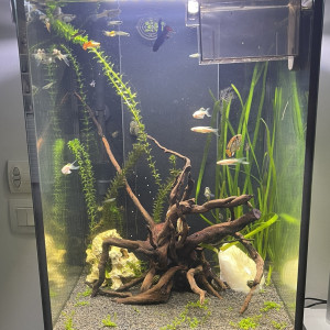 Aquarium aquatlantis tower